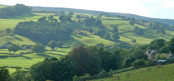 Bruce Cottage view towards Heathfield