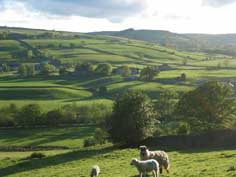 View from Bruce Cottage - front